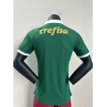 24-25 season Brazilian Serie A SE Palmeiras home jersey - green
