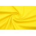 Dortmund 24/25 season training uniform-yellow