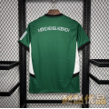 Puma/Puma 24-25 Borussia Mönchengladbach Away Fan Edition Football Jersey